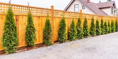 6-12-21-bigstock-Fence-built-from-wood-Outdoor-360419620