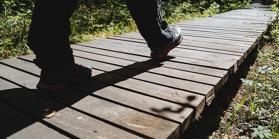 Best Practices for Creating Wooden Walkways on Hiking Trails